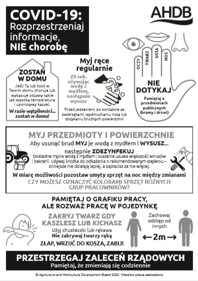 Coronavirus COVID-19 poster in Polish
